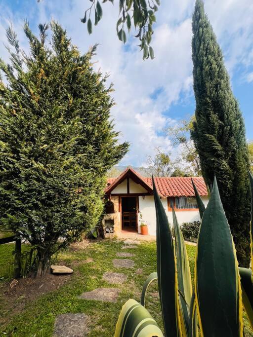 Amatista En Turquesa * Villa de Leyva