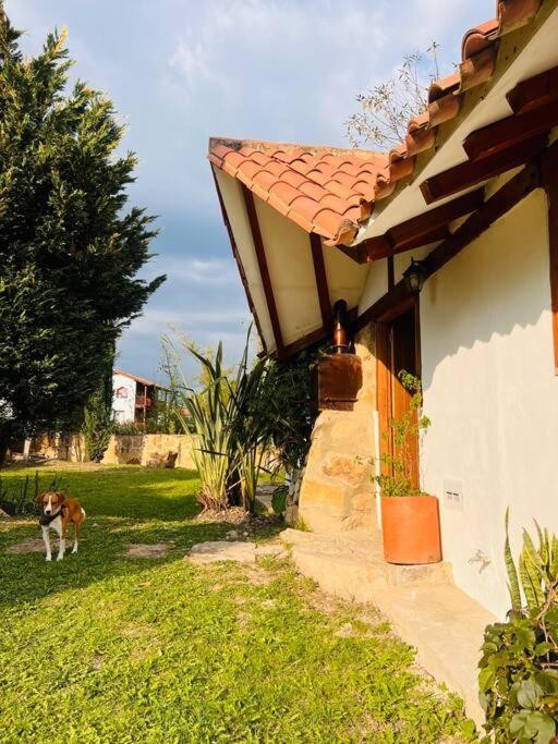 Amatista En Turquesa * Villa de Leyva